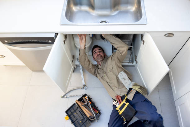Best Clogged Drain Plumber  in Lone Oak, TN